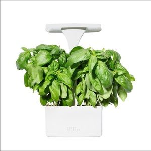 Short Stories Planter